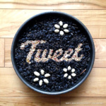 'Tweet' Experimental Typography